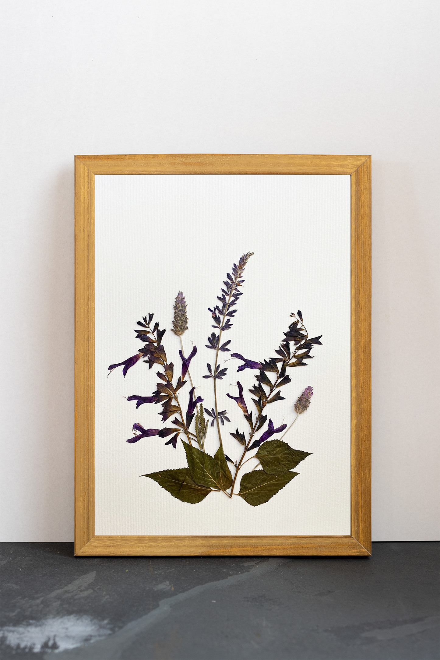 Cuadro Salvias y Lavandas I