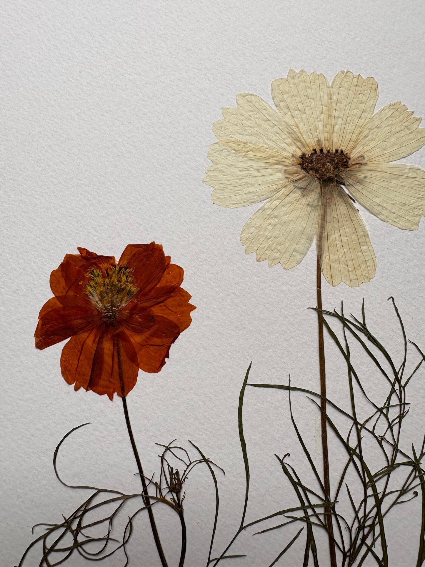 Cuadro Cosmos Terracota II