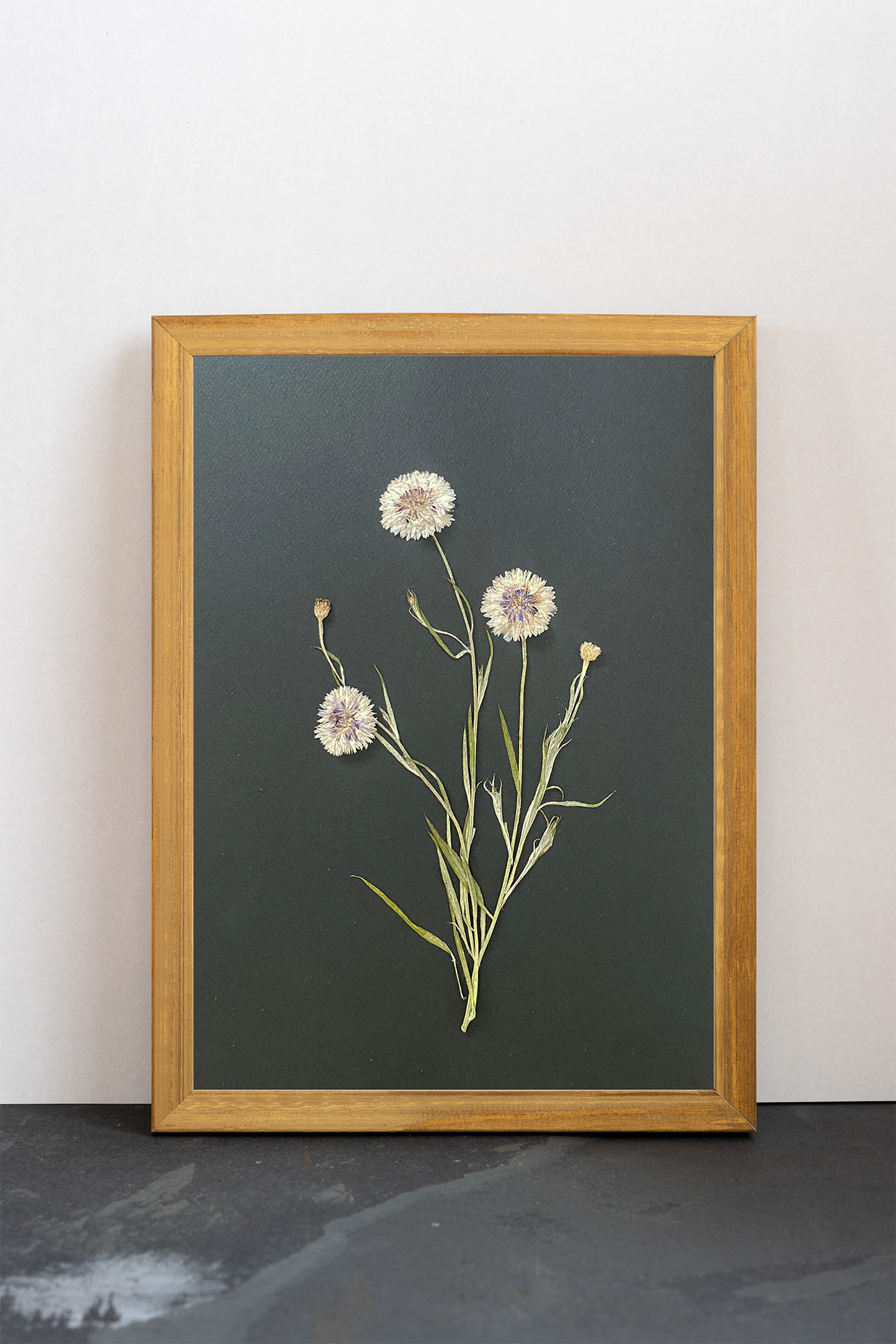 Cuadro Centauras blancas I