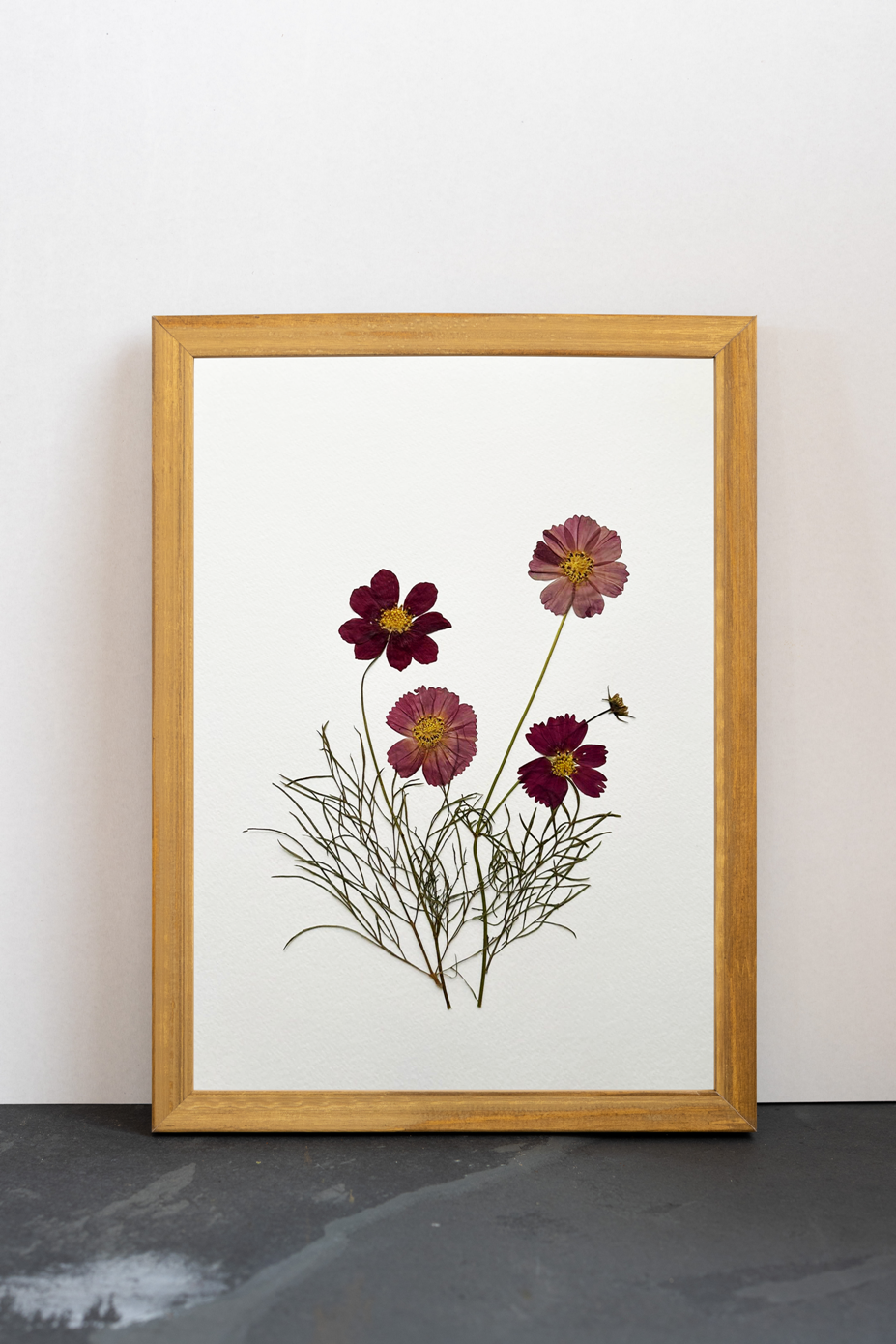 Cuadro Cosmos púrpura I