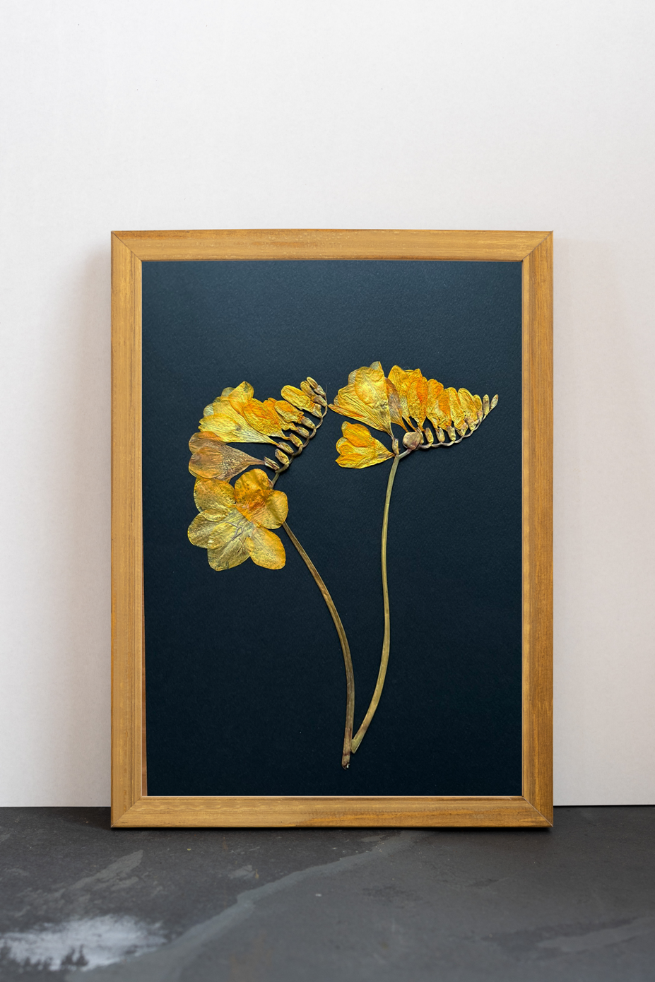 Cuadro Fresias negras I