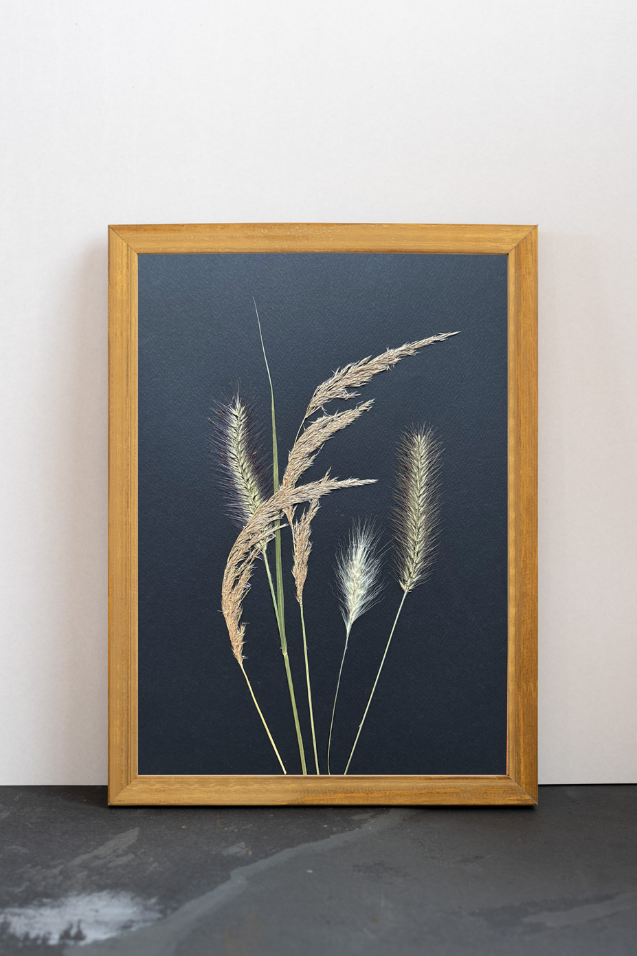 Cuadro Gramíneas III
