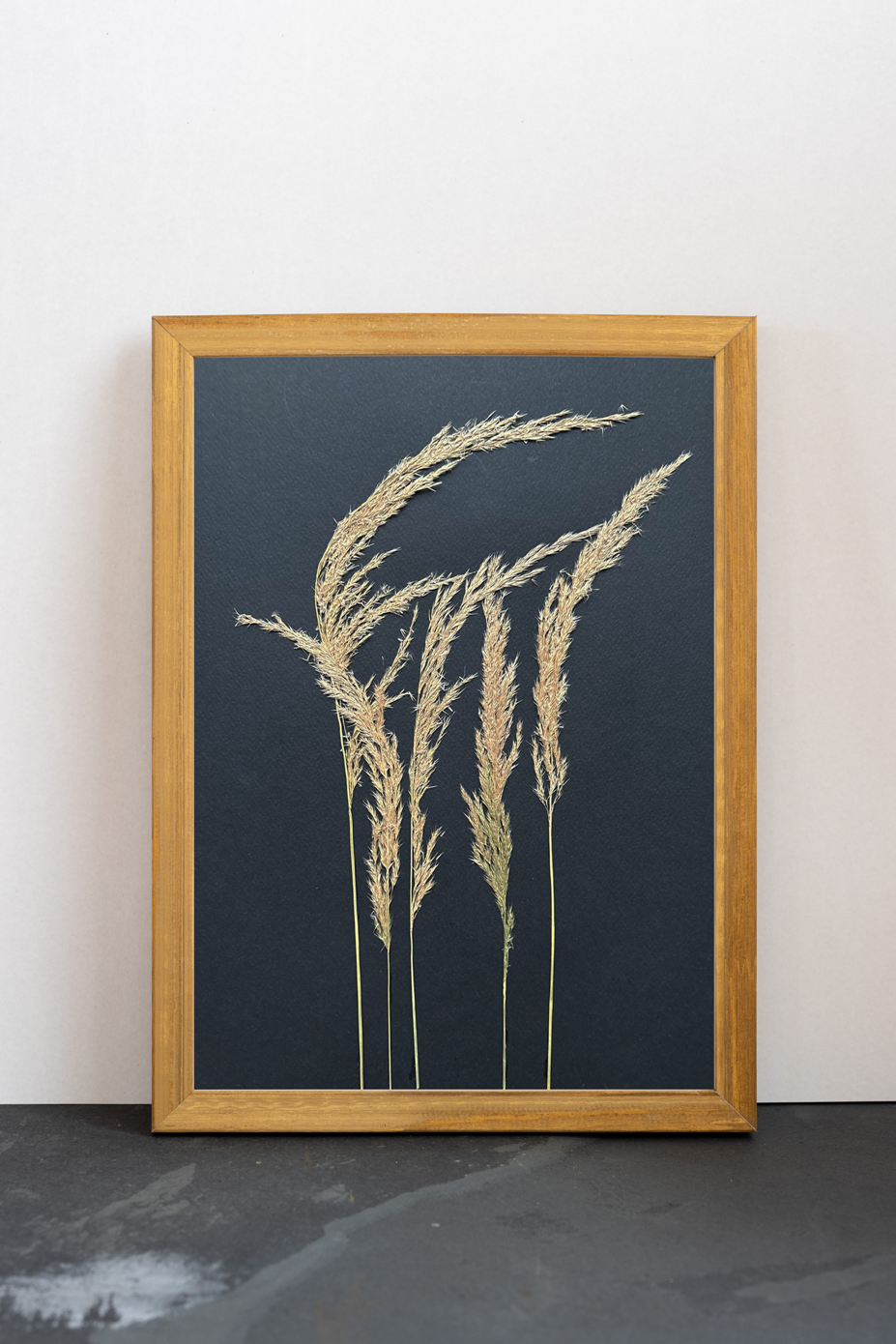 Cuadro Gramíneas IV