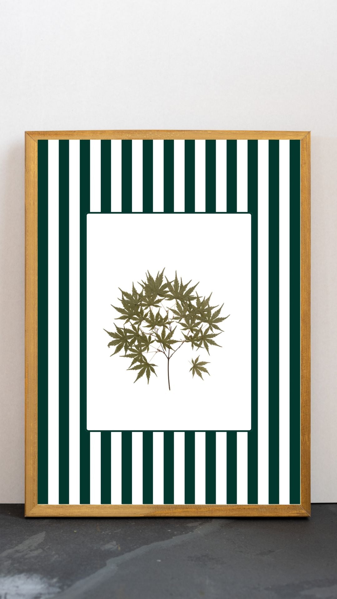 Garden Lines / Green Acer I