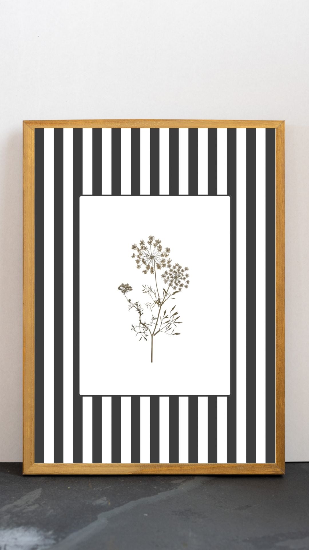 Garden Lines / Black Ammis