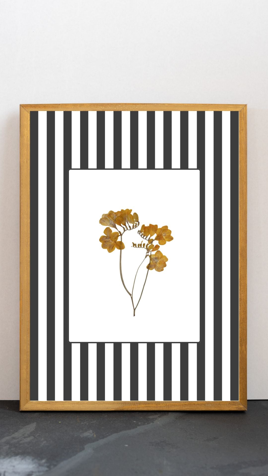 Garden Lines / Black Fresia I