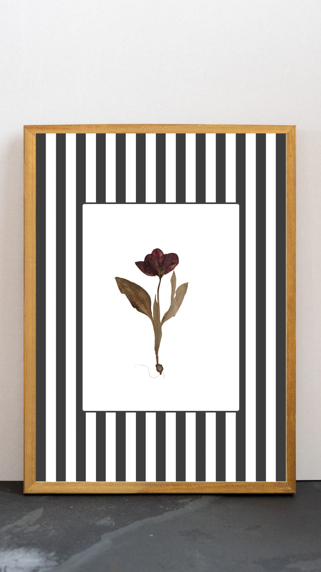 Garden Lines / Black Tulip I
