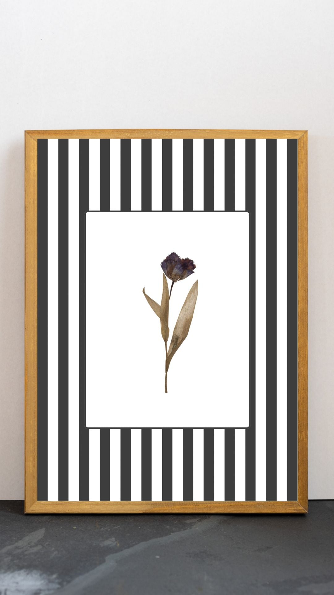 Garden Lines / Black Tulip II
