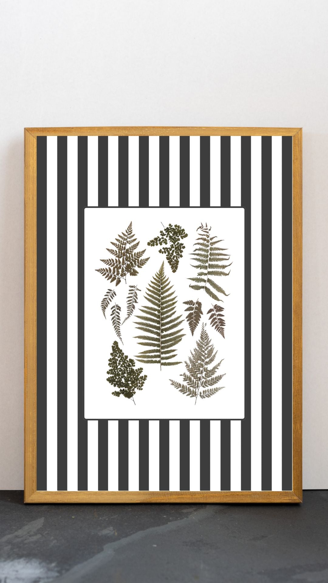 Garden Lines / Black Ferns
