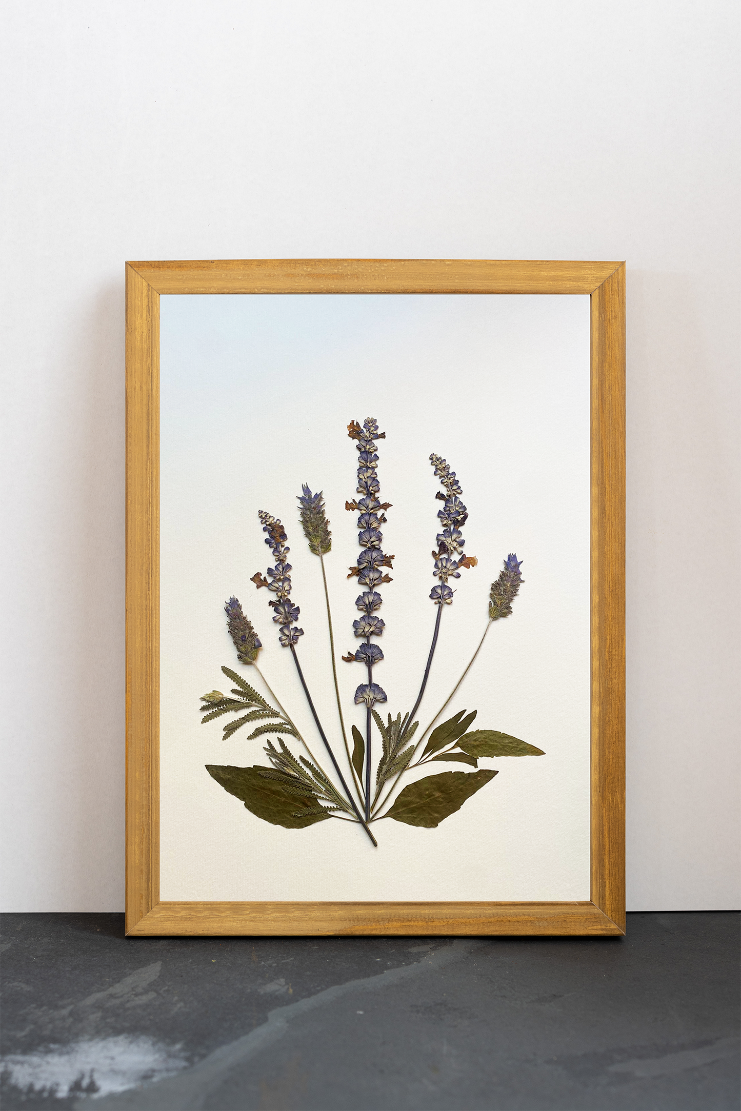 Cuadro Salvias y Lavandas II