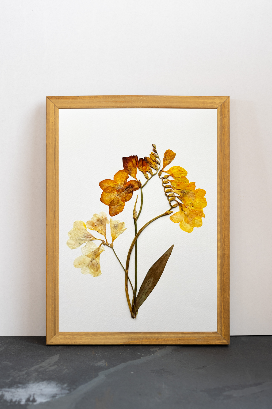 Cuadro Fresias amarillas II