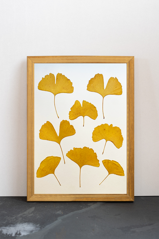 Cuadro Gingko