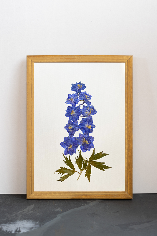 Cuadro Delphinium II