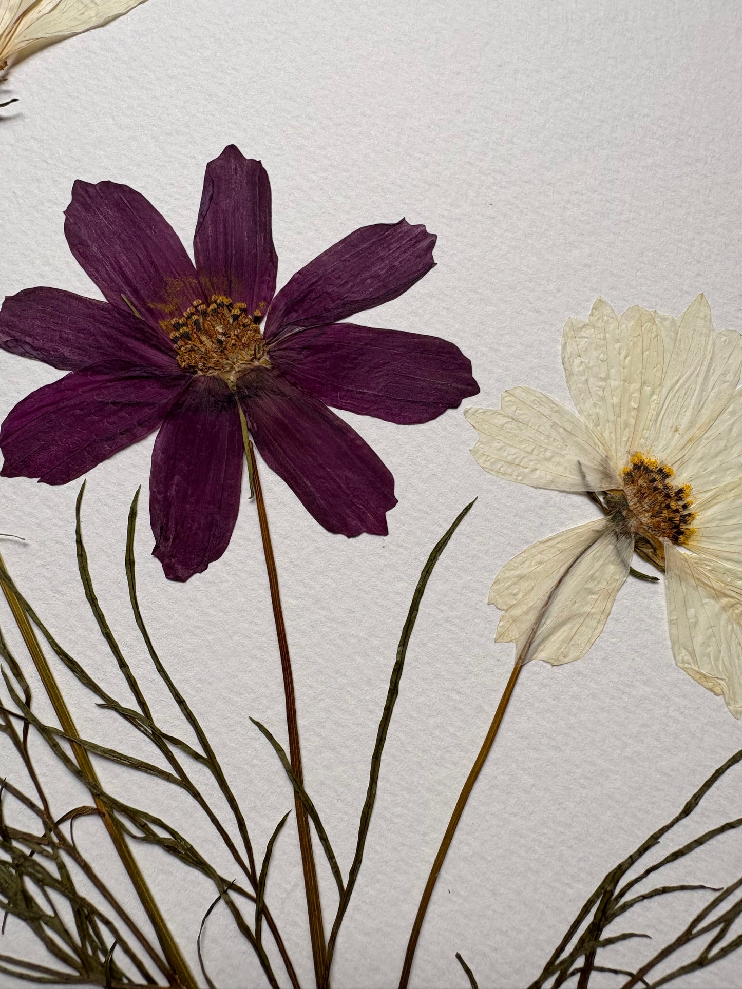 Cuadro Cosmos púrpura II