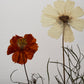 Cuadro Cosmos Terracota II