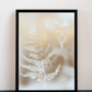 Cuadro Helecho Esfumado White II