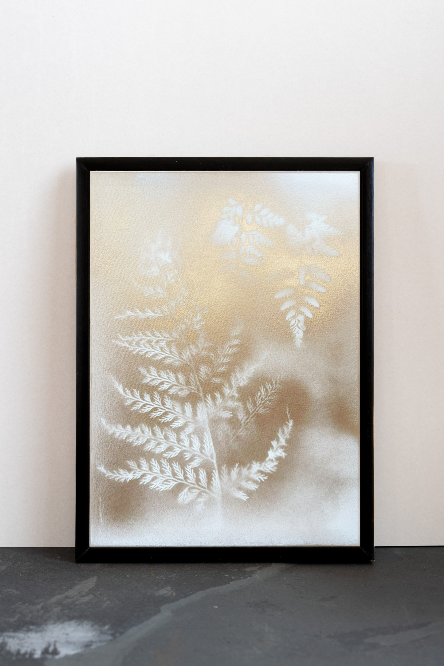 Cuadro Helecho Esfumado White II