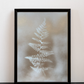 Cuadro Helecho Esfumado White I
