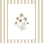 Garden Lines / Beige Cosmo IV