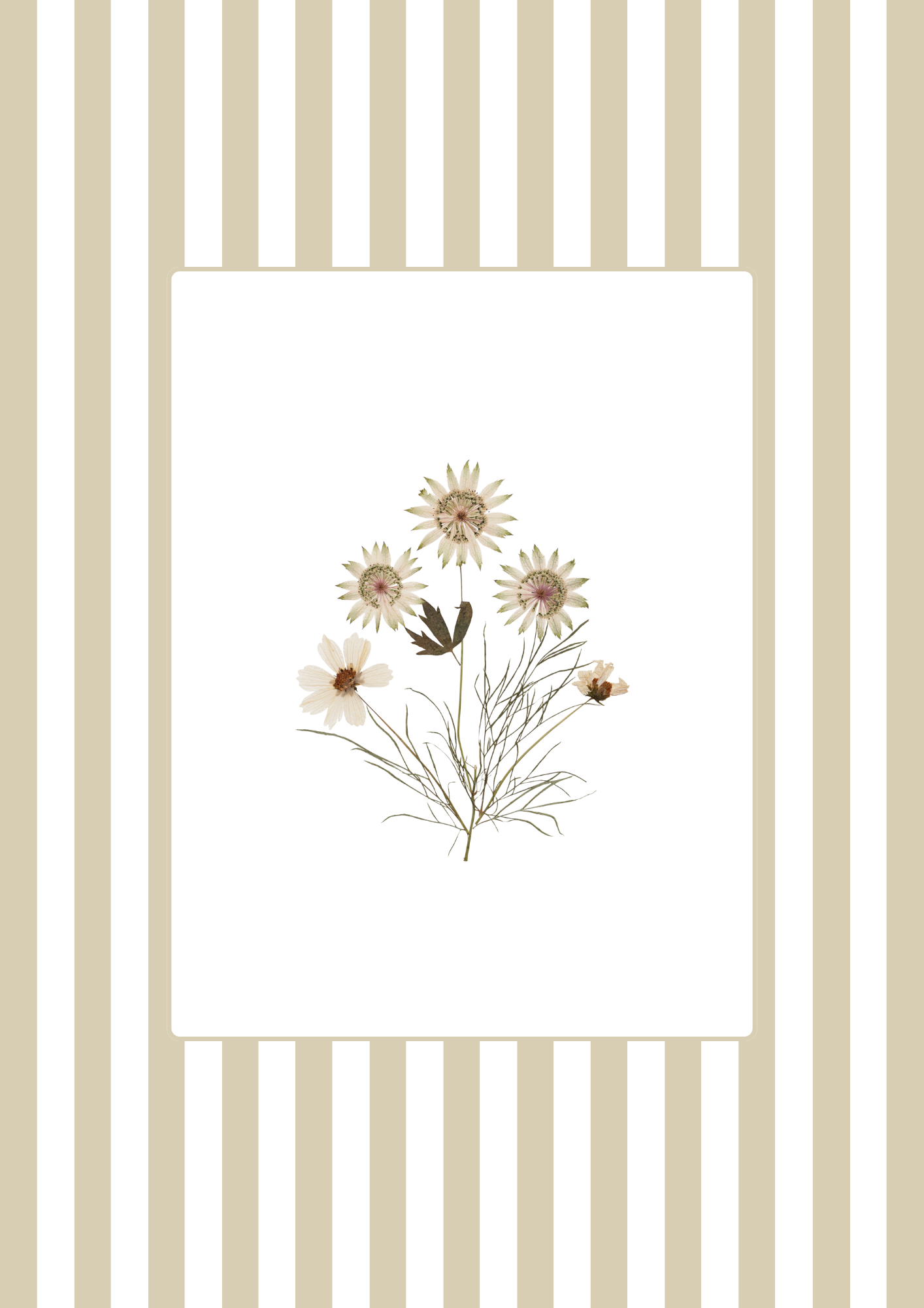 Garden Lines / Beige Cosmo IV