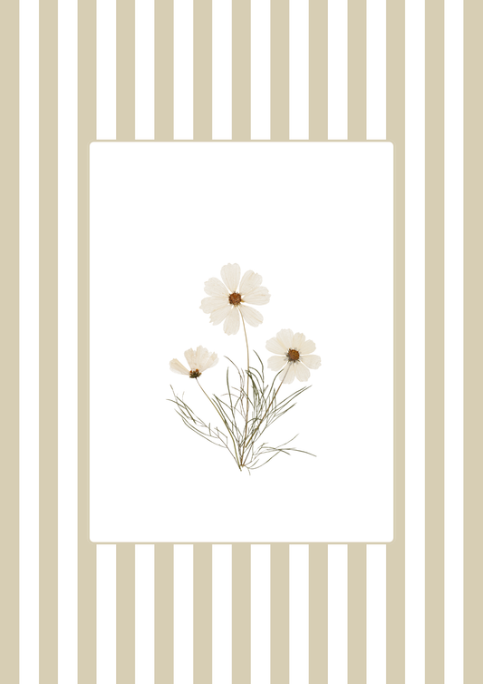 Garden Lines / Beige Cosmo III