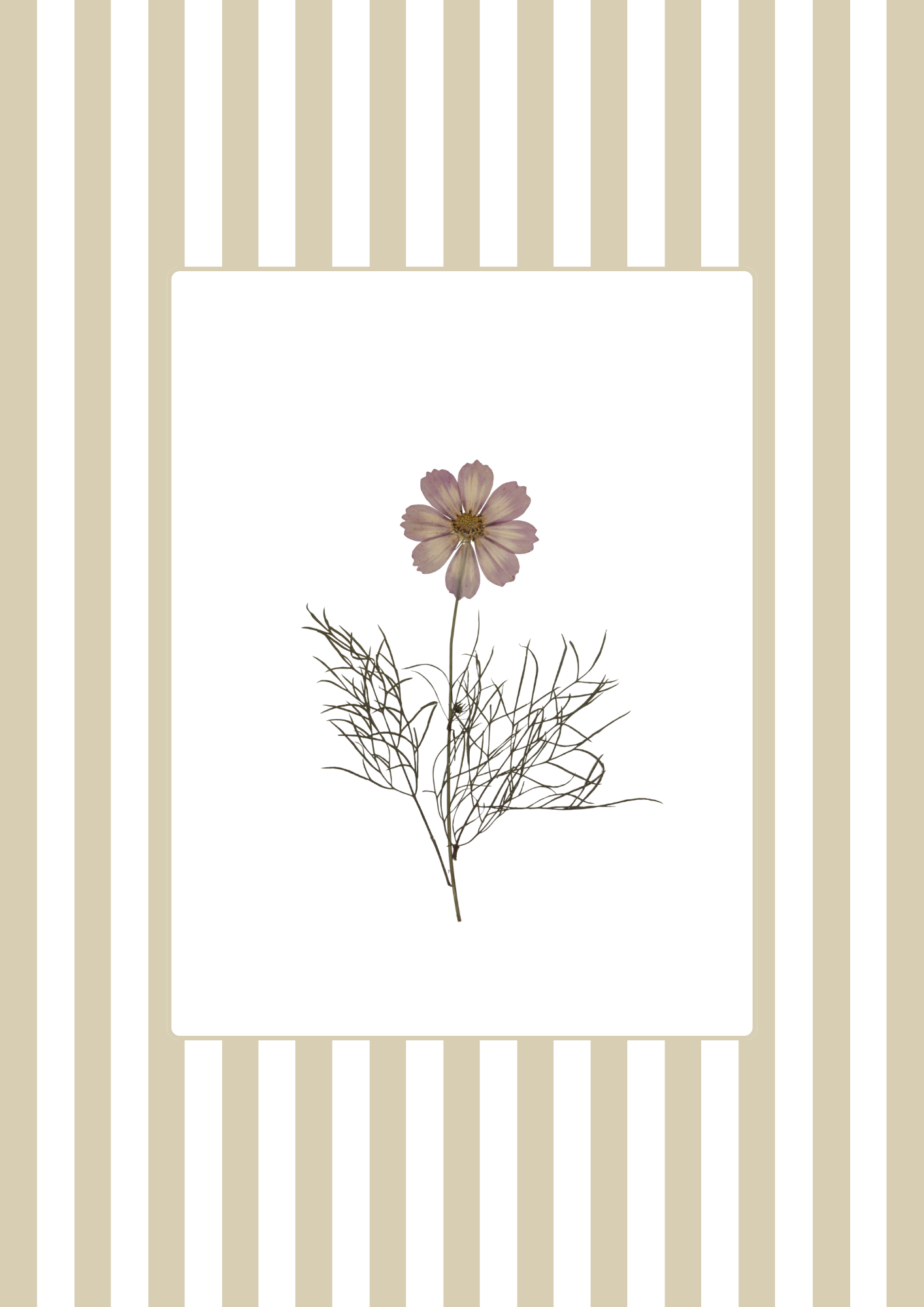 Garden Lines / Beige Cosmo I