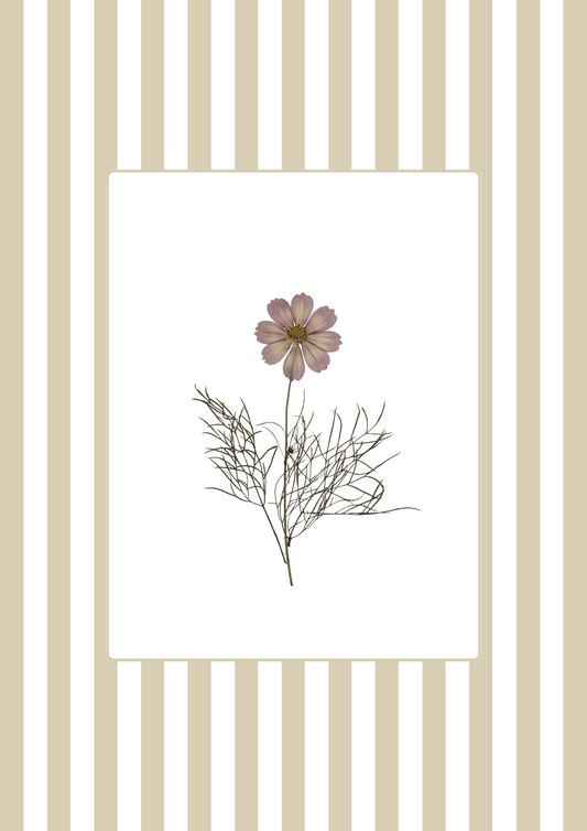 Garden Lines / Beige Cosmo I