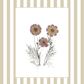 Garden Lines / Beige Cosmo II
