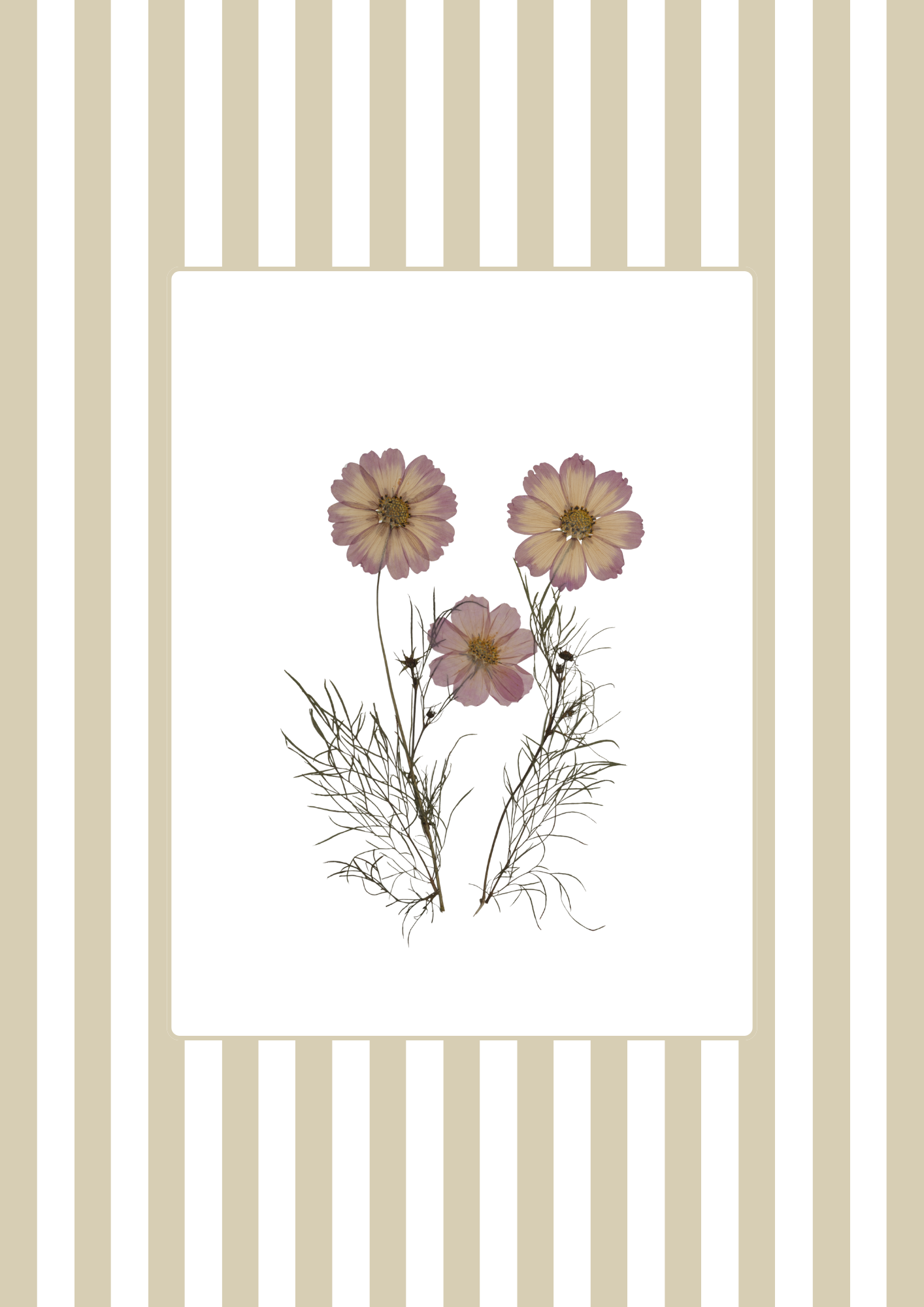 Garden Lines / Beige Cosmo II