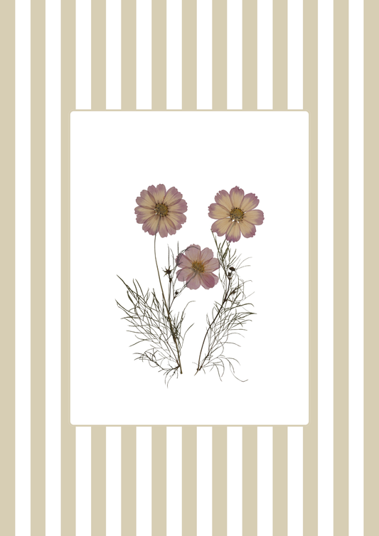 Garden Lines / Beige Cosmo II