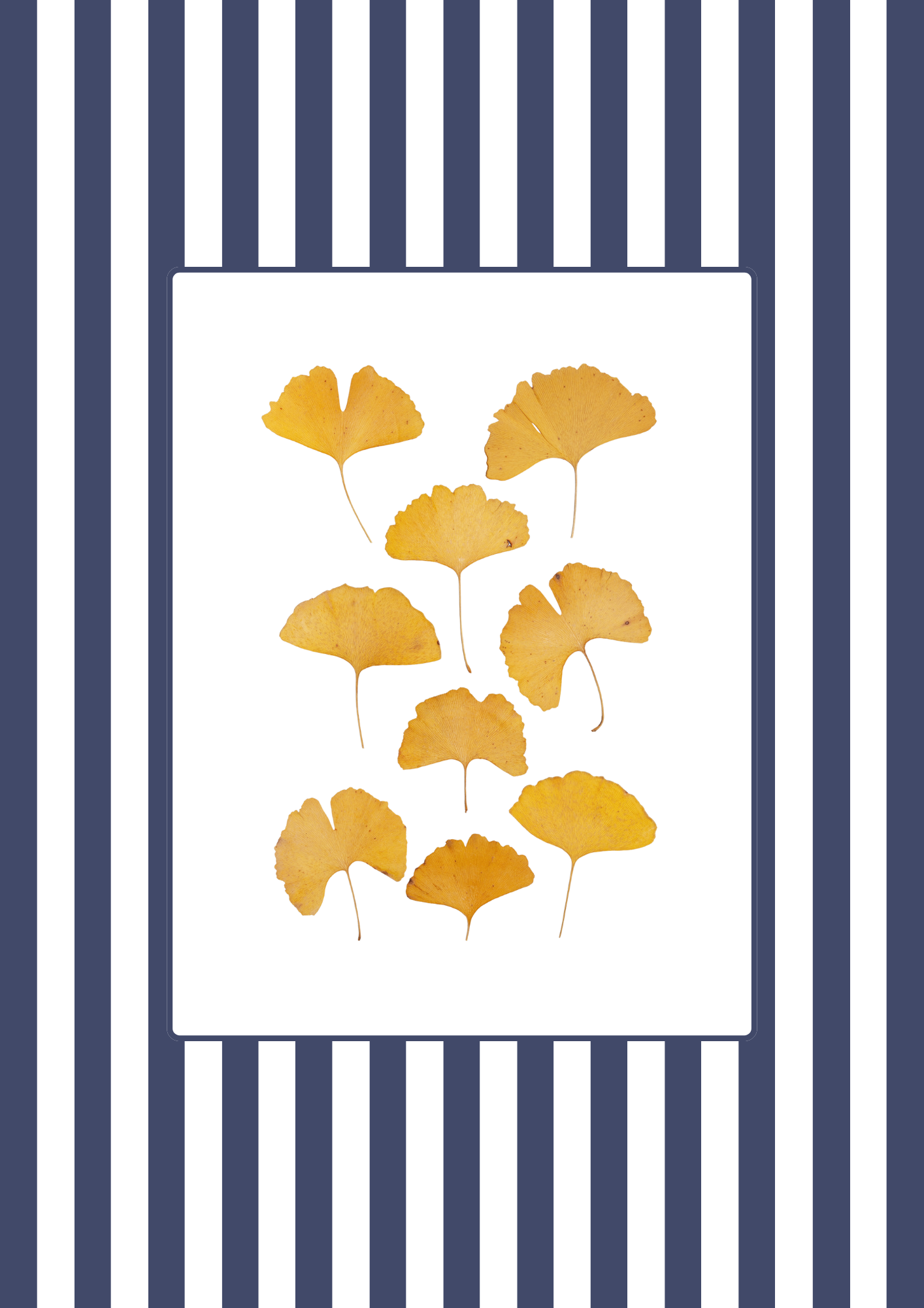 Garden Lines / Blue Ginkgo