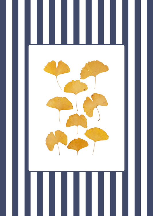 Garden Lines / Blue Ginkgo