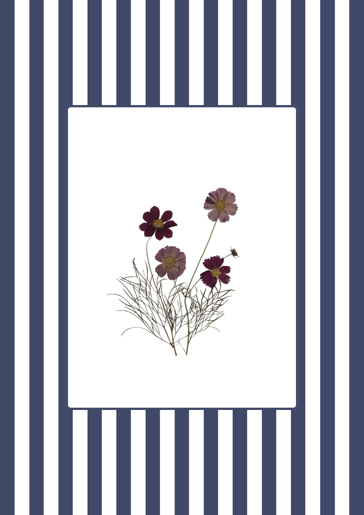 Garden Lines / Blue Cosmos