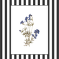 Garden Lines / Black Delphinium II