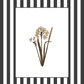 Garden Lines / Black Narciso
