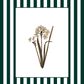 Garden Lines / Green Narciso