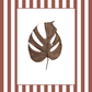 Garden Lines / Terracota Monstera