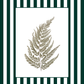 Garden Lines / Green Fern I