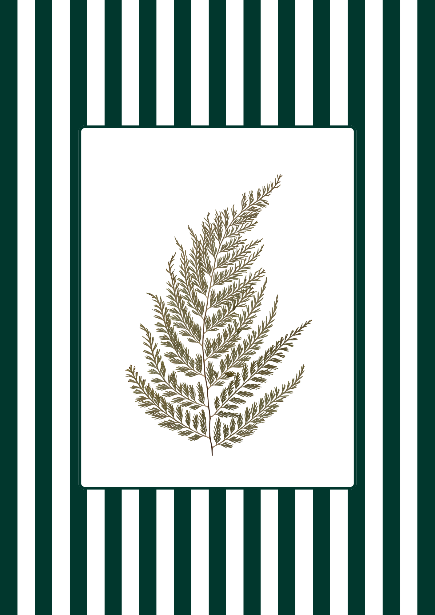 Garden Lines / Green Fern I