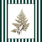 Garden Lines / Green Fern II