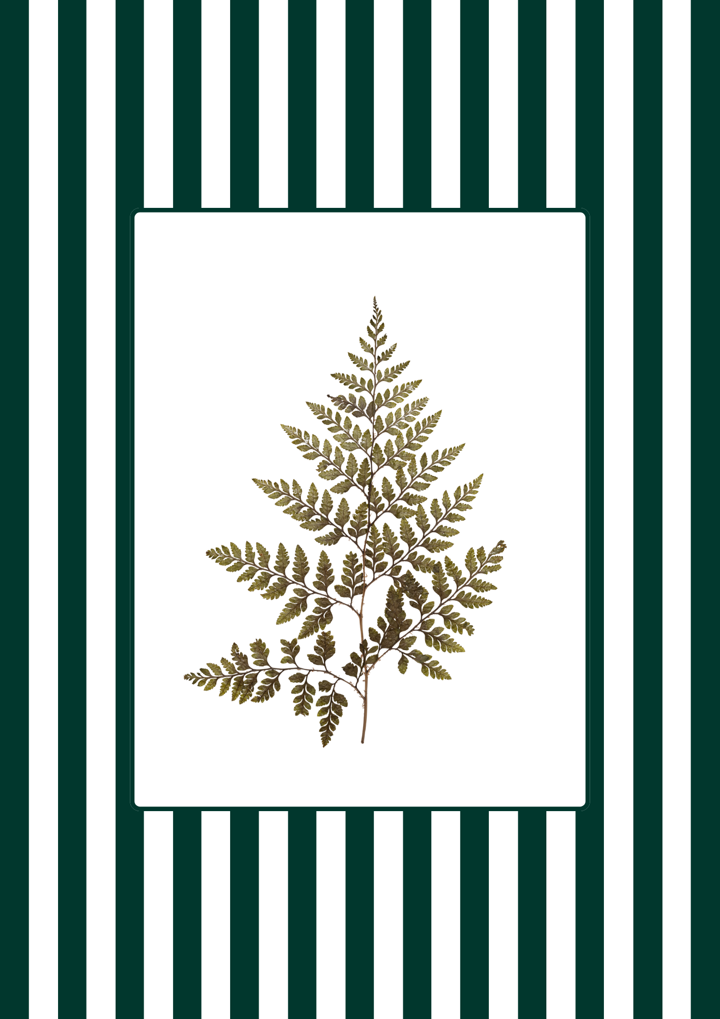 Garden Lines / Green Fern II