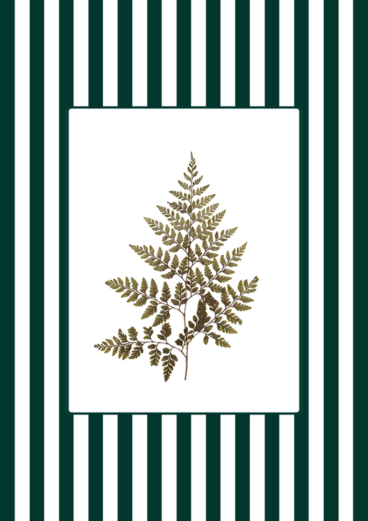 Garden Lines / Green Fern II