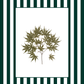 Garden Lines / Green Acer I