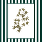 Garden Lines / Green Acer II