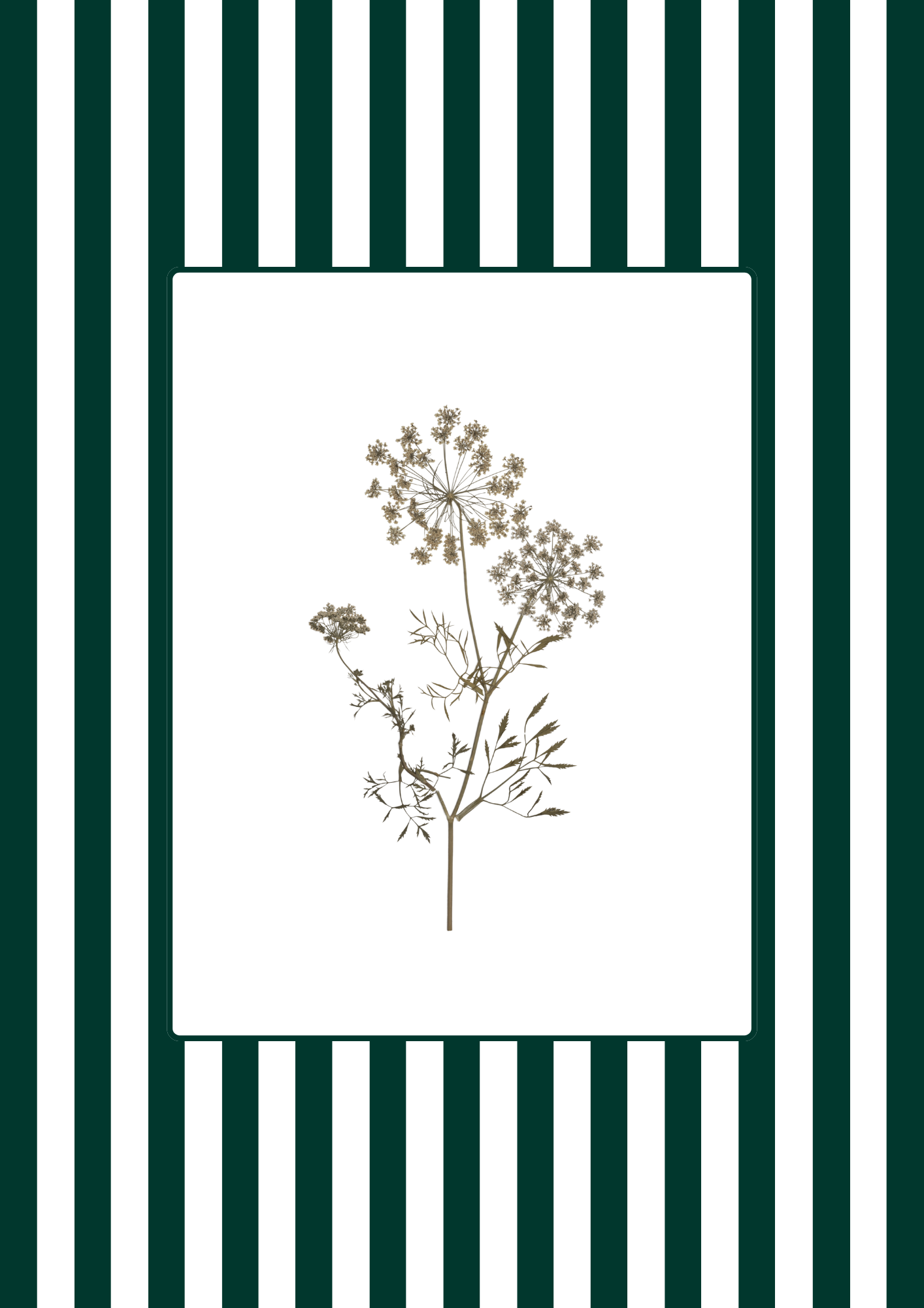 Garden Lines / Green Ammis