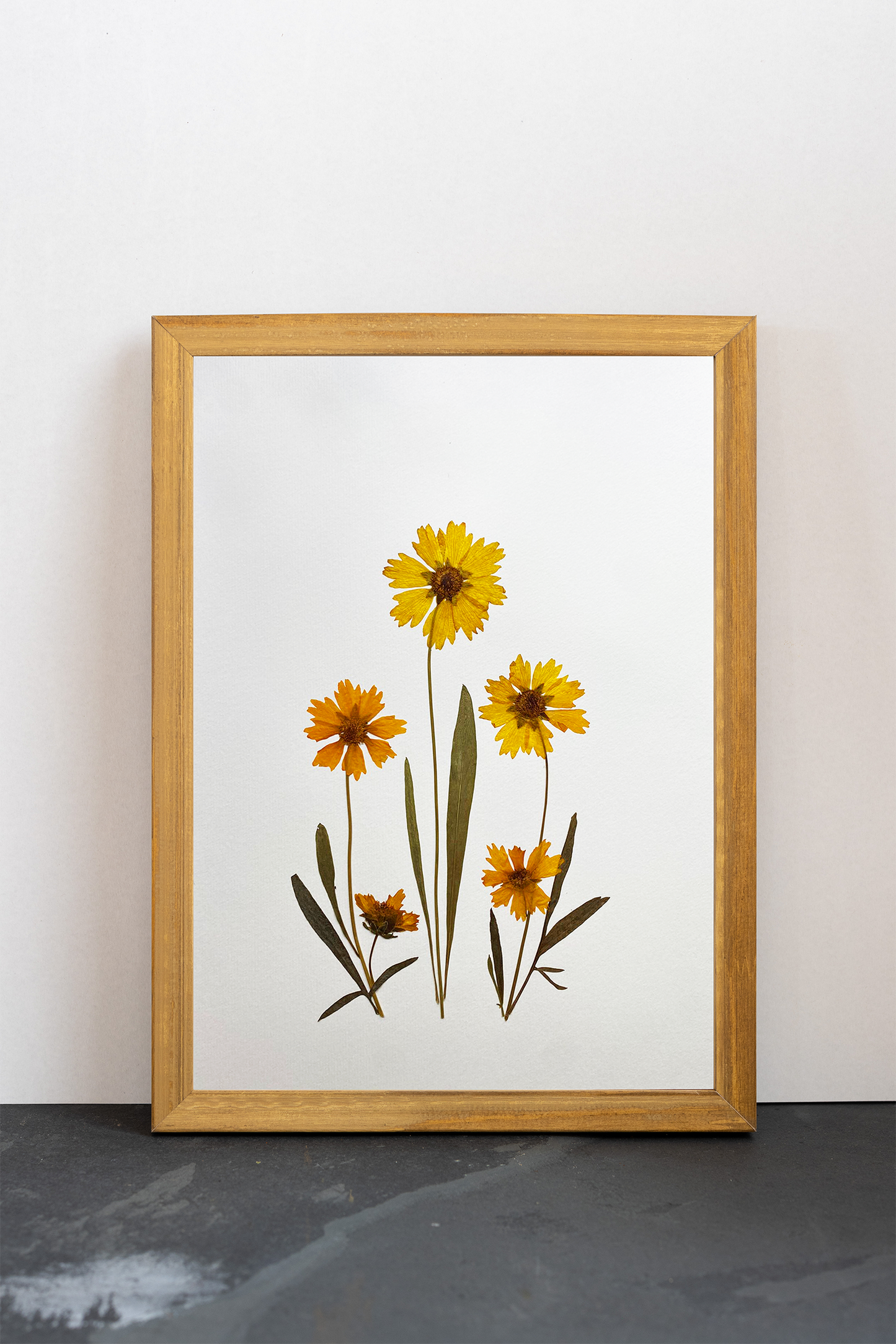 Cuadro Coreopsis I