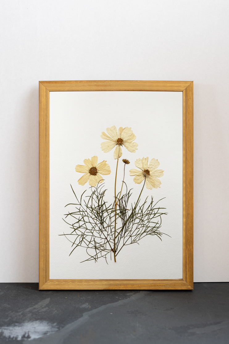 Cuadro Cosmos blancos