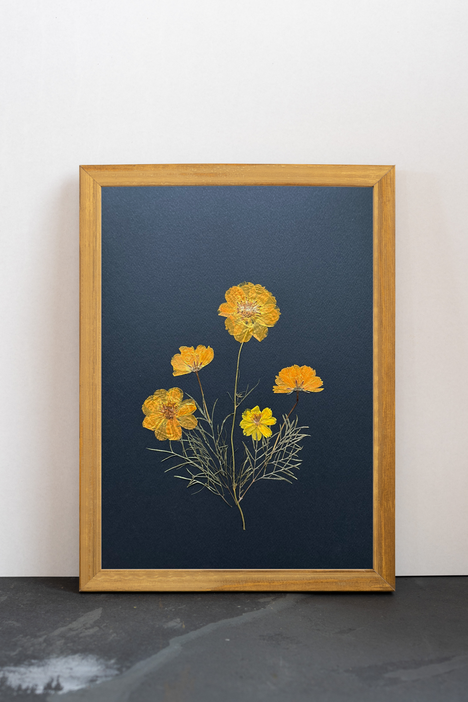 Cuadro Cosmos negros II