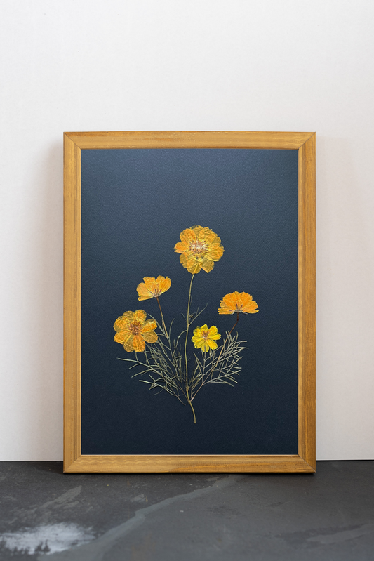 Cuadro Cosmos negros II