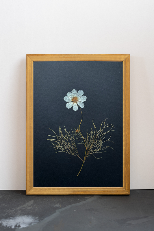 Cuadro Cosmos negros III